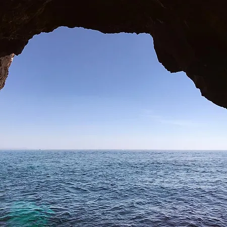 Mare Official Site アパート トルトリ