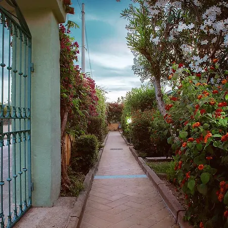 Mare Official Site トルトリ