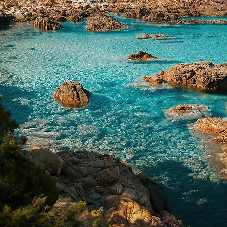 Mare Official Site アパート トルトリ