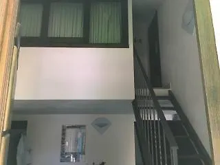 Mare Official Site * トルトリ