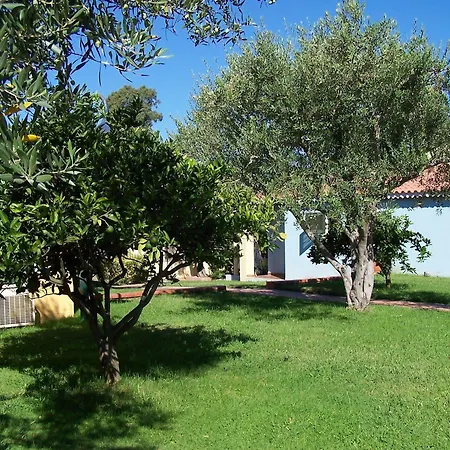 Mare Official Site アパート