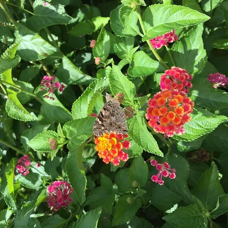 Mare Official Site アパート *