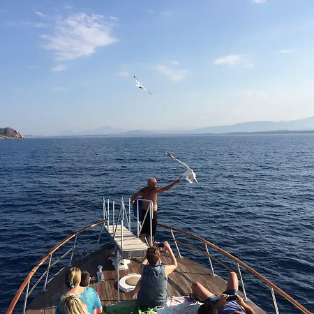 Mare Official Site トルトリ