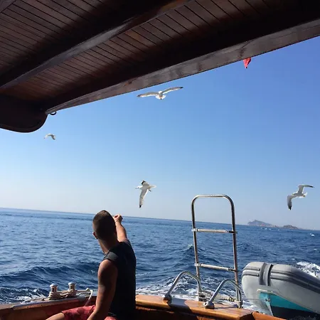 Mare Official Site * トルトリ