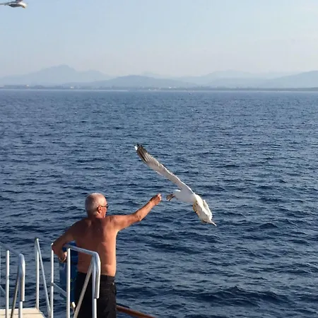 Mare Official Site アパート *