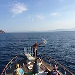 Mare Official Site Tortolì