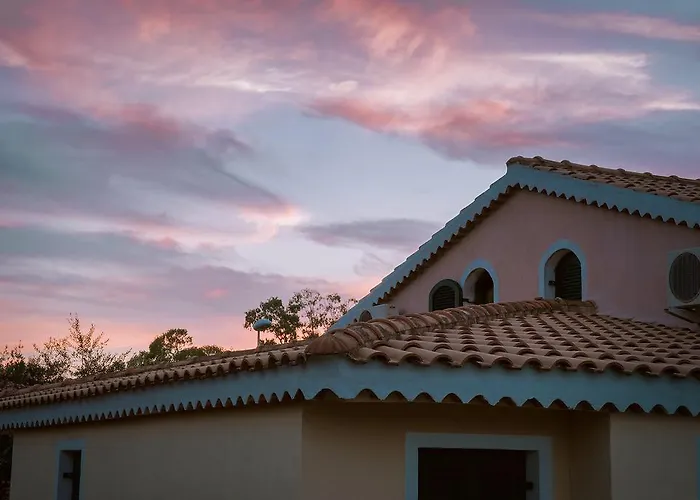 Mare Official Site Daire