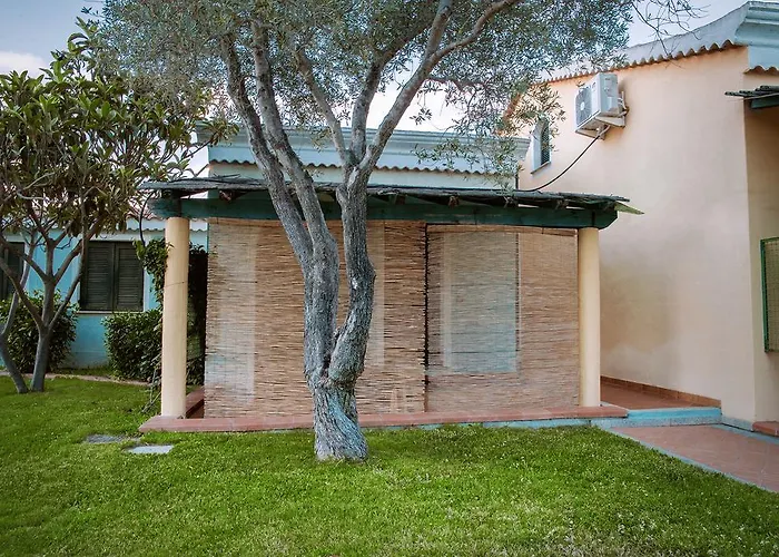 Daire Mare Official Site *