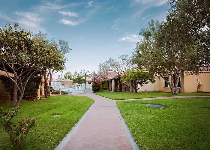 Daire Mare Official Site