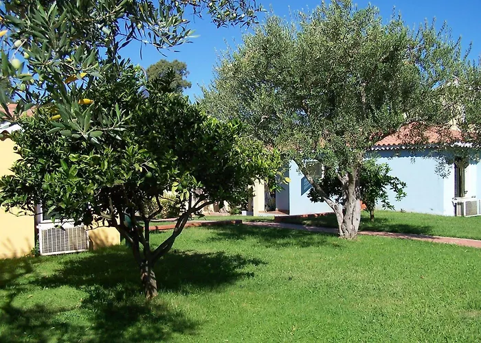 Mare Official Site Daire