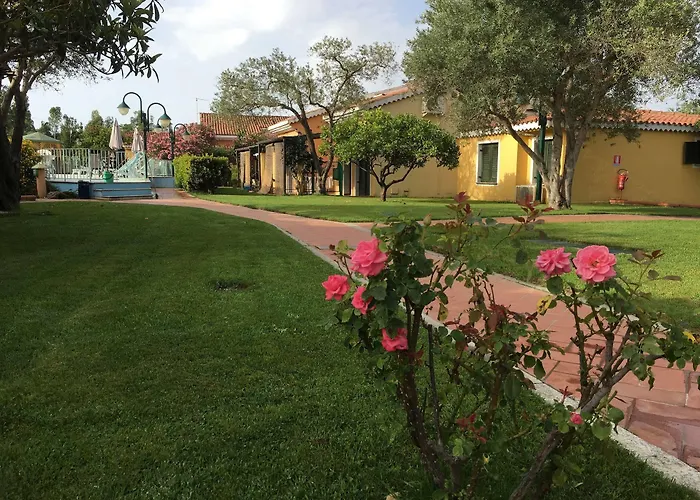 Daire Mare Official Site