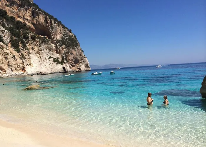 Daire Mare Official Site